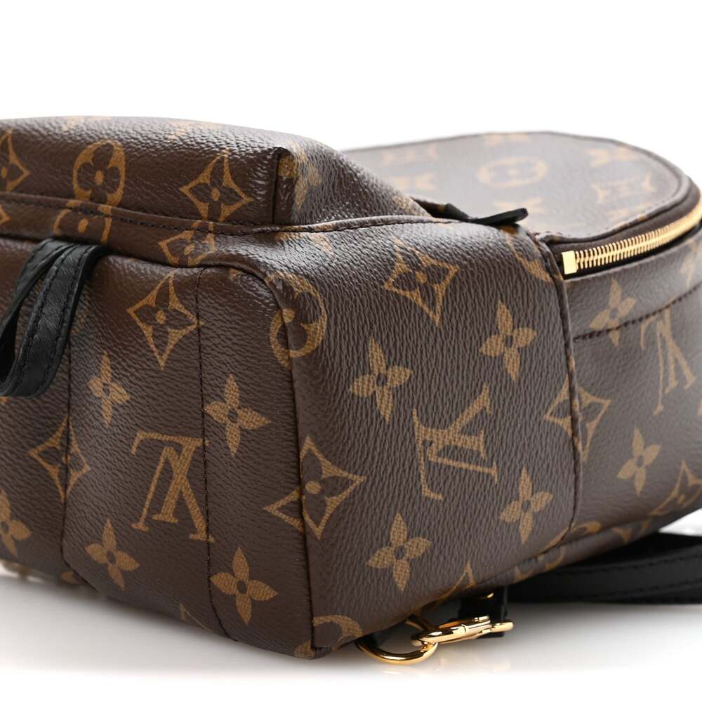 Louis Vuitton Palm Springs Backpack #262334L19B - Picture 9 of 10
